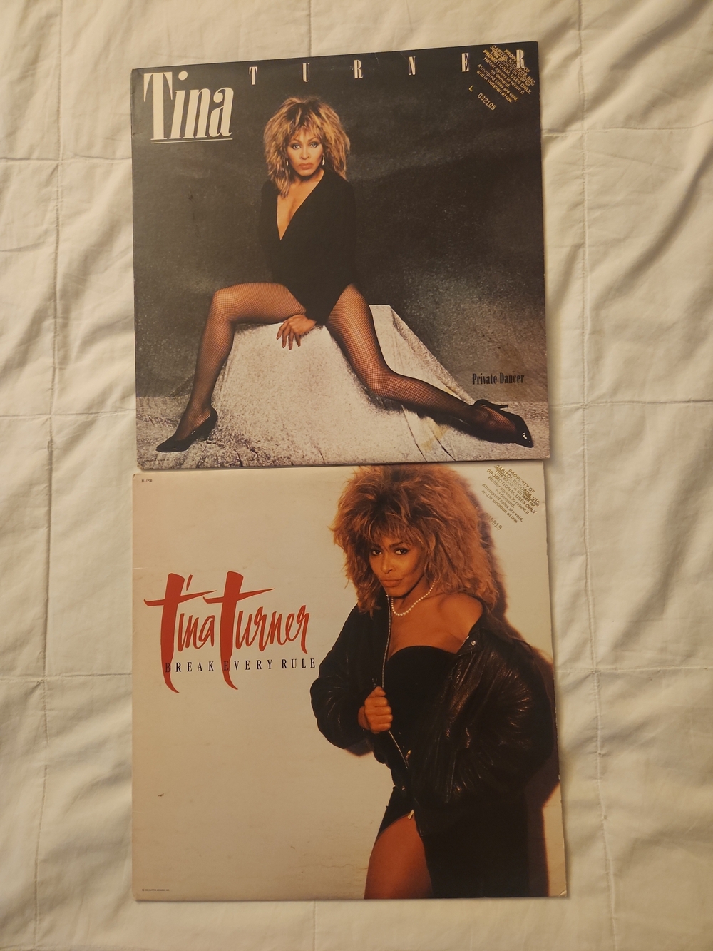 Tina Turner Vinyl Album Lot - DJ COPIES UNPLAYED 30 YEARS VG+